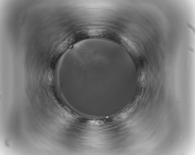 X0000093740277200710301111