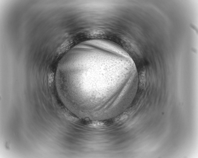 X0000093740278200710301111