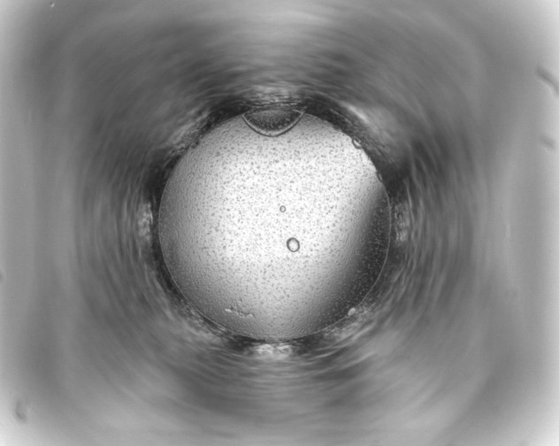 X0000093740279200710301111