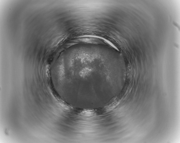 X0000093740280200710301111