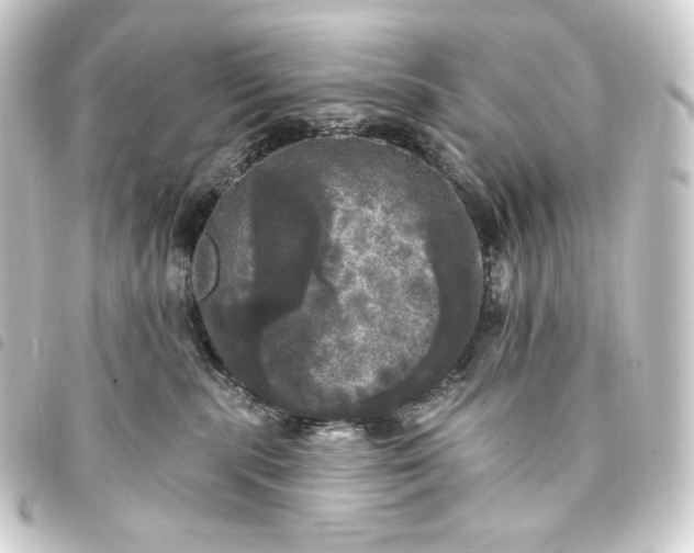 X0000093740283200710301111