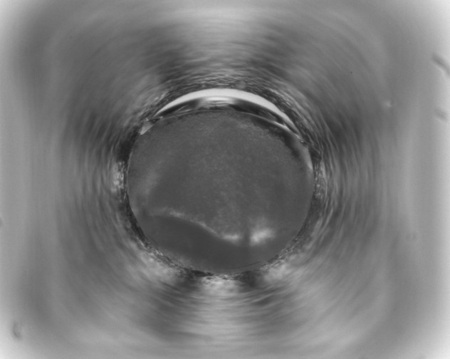 X0000093740284200710301111