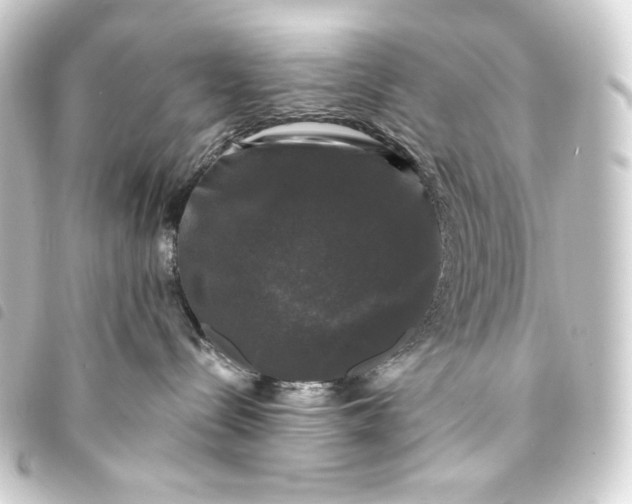 X0000093740288200710301111