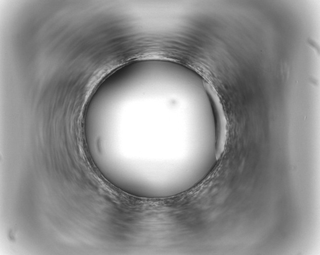 X0000093740289200710301110