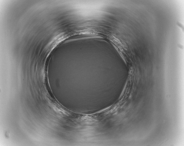 X0000093740290200710301110