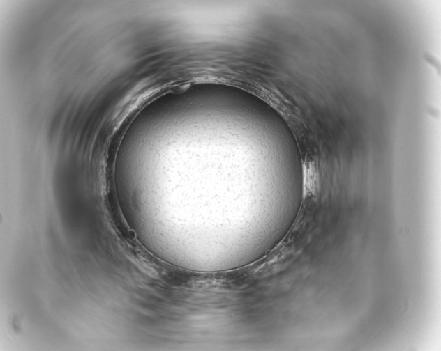 X0000093740291200710301110