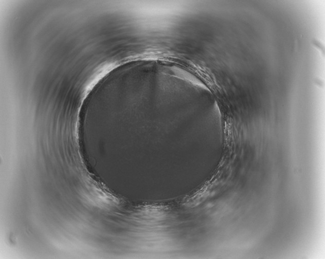 X0000093740292200710301110