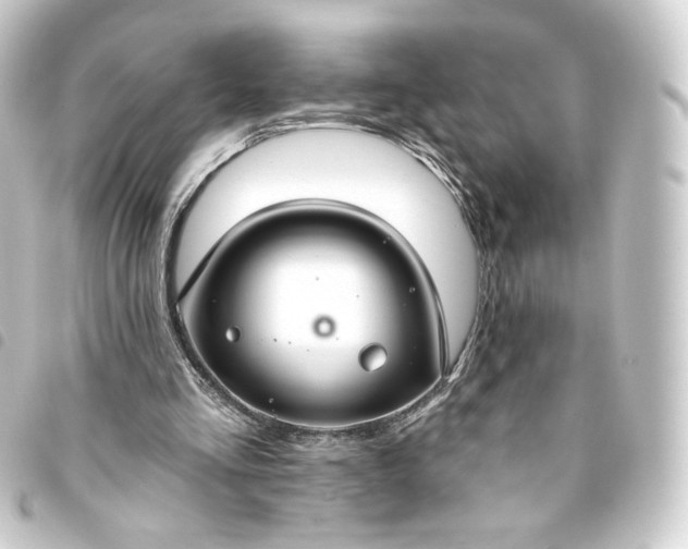 X0000093740293200710301110