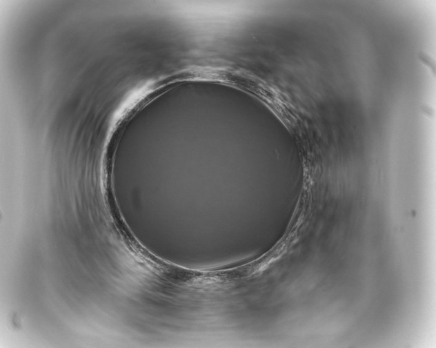 X0000093740294200710301110