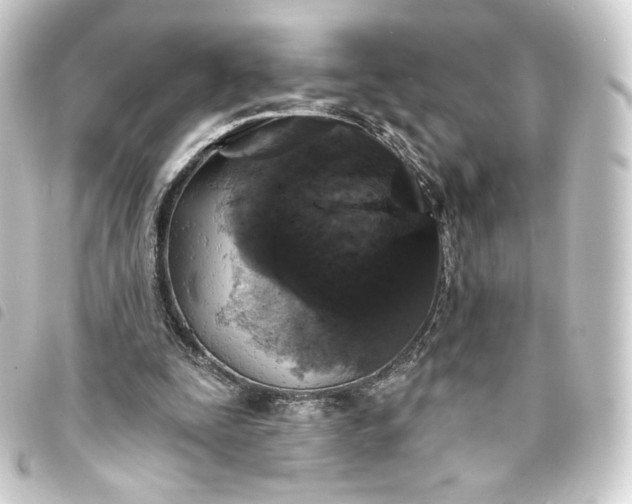 X0000093740295200710301110