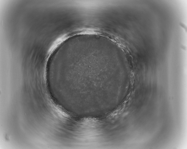 X0000093740296200710301110