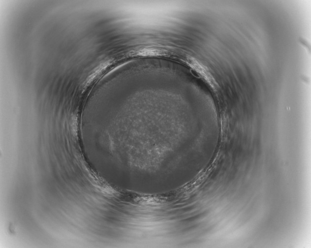 X0000093740297200710301110