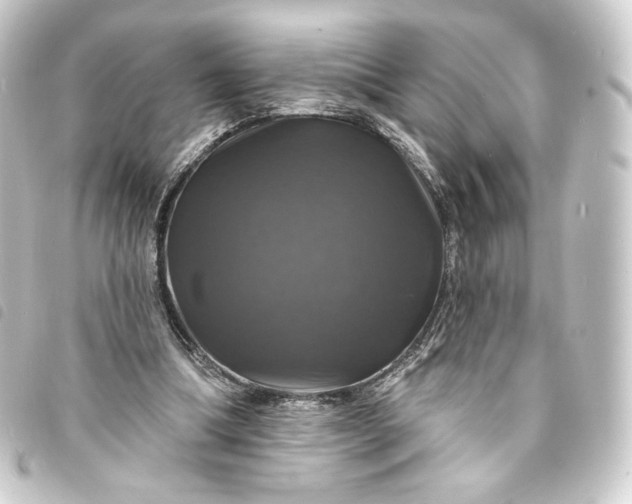 X0000093740298200710301110