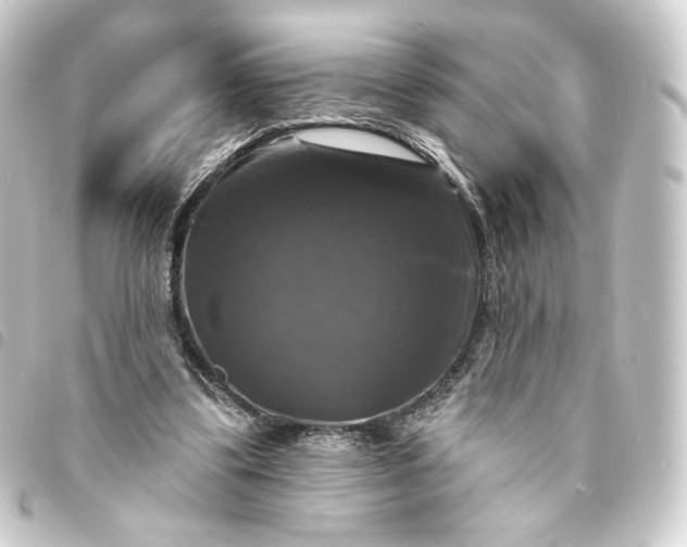 X0000093740299200710301110