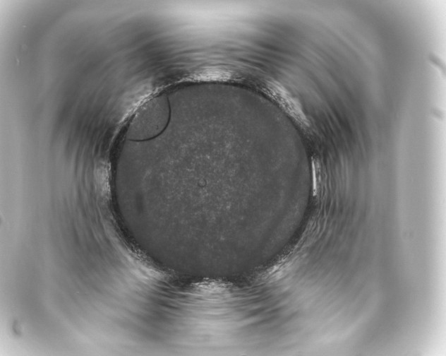 X0000093740300200710301110