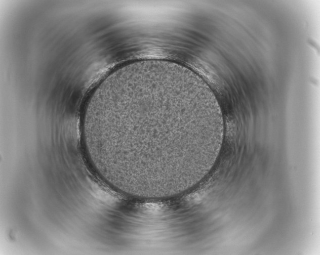 X0000093740302200710301110