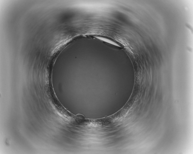 X0000093740303200710301110