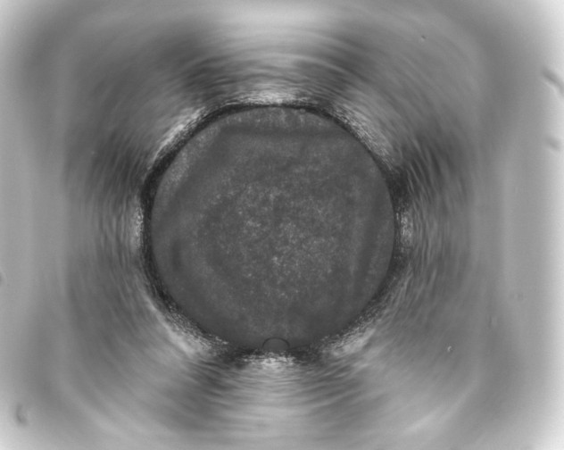 X0000093740304200710301110