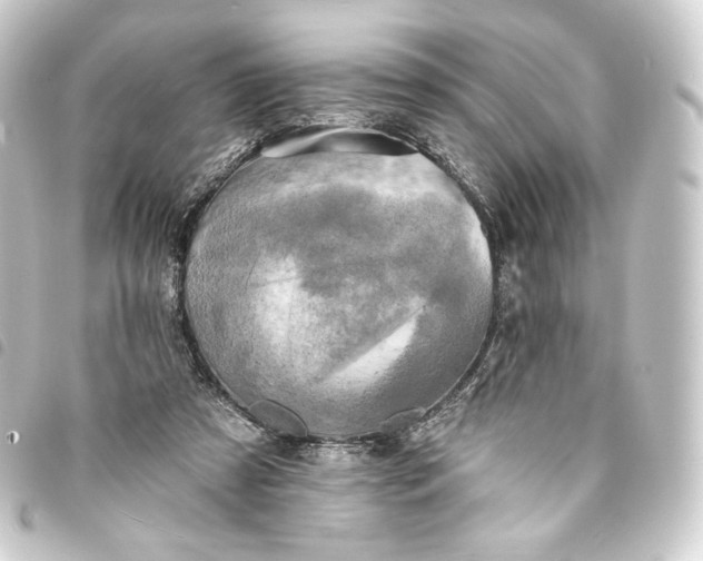 X0000093740305200710301110