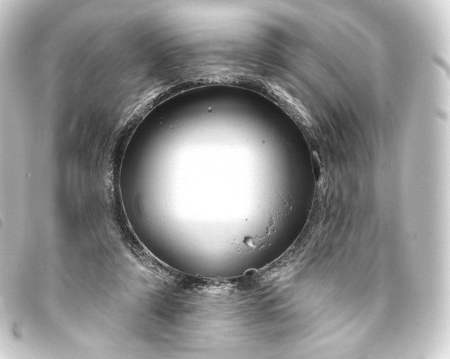 X0000093740306200710301110