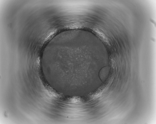 X0000093740308200710301110