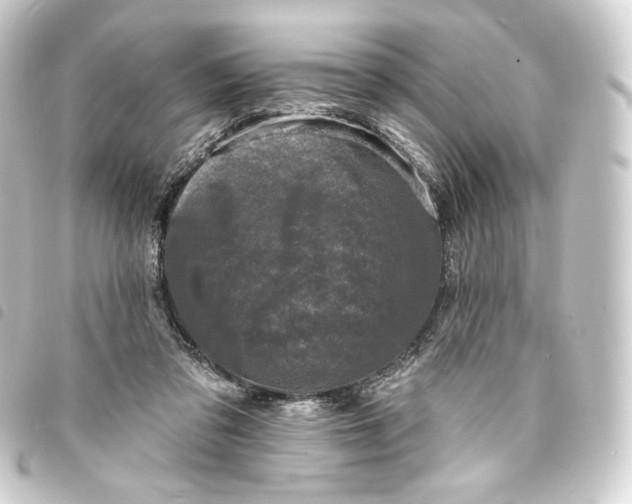 X0000093740309200710301110