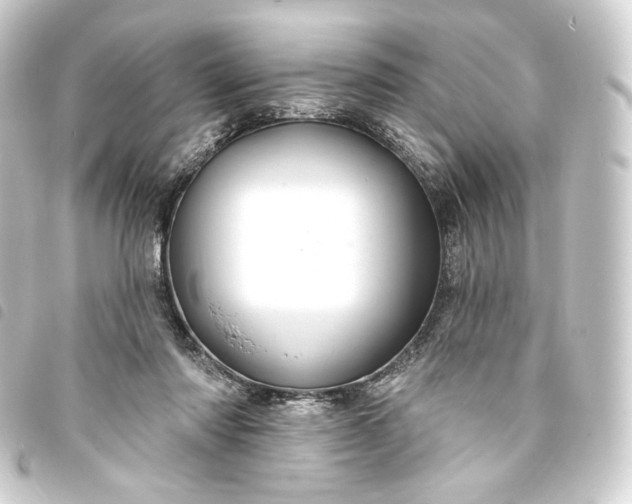 X0000093740310200710301110