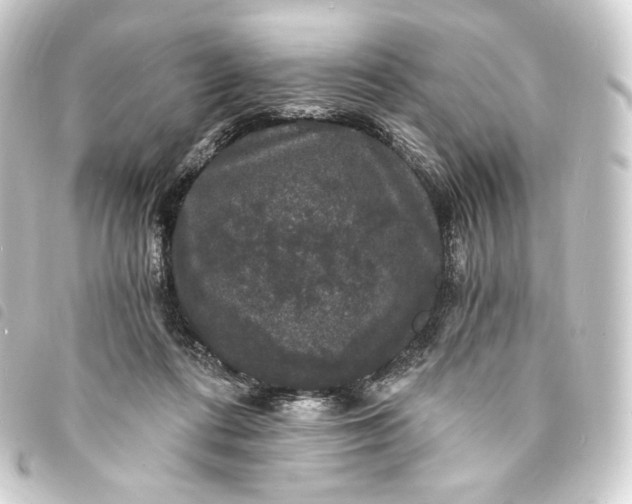 X0000093740312200710301110