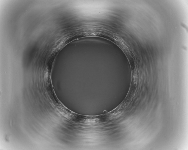 X0000093740314200710301110