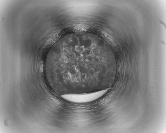 X0000093740315200710301110