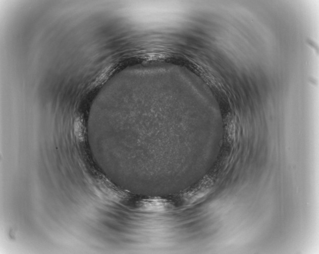 X0000093740316200710301110