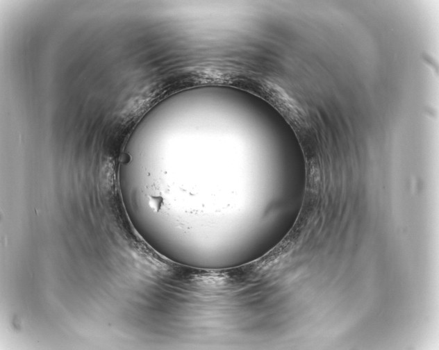 X0000093740318200710301110