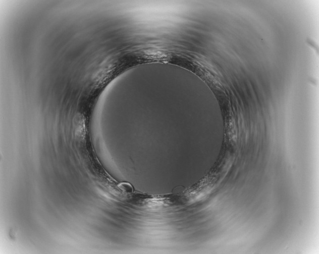 X0000093740320200710301110