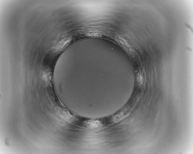 X0000093740322200710301110