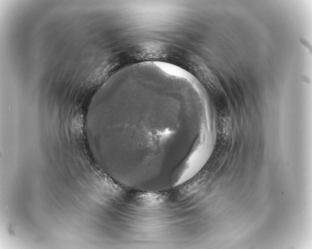 X0000093740326200710301110