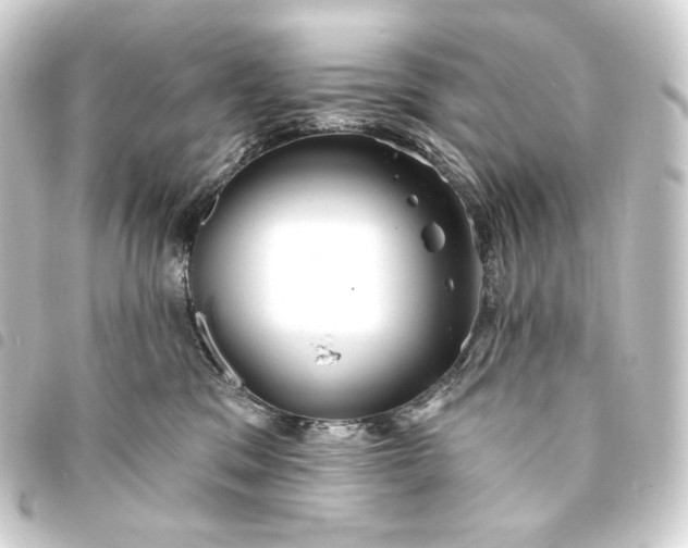 X0000093740329200710301110