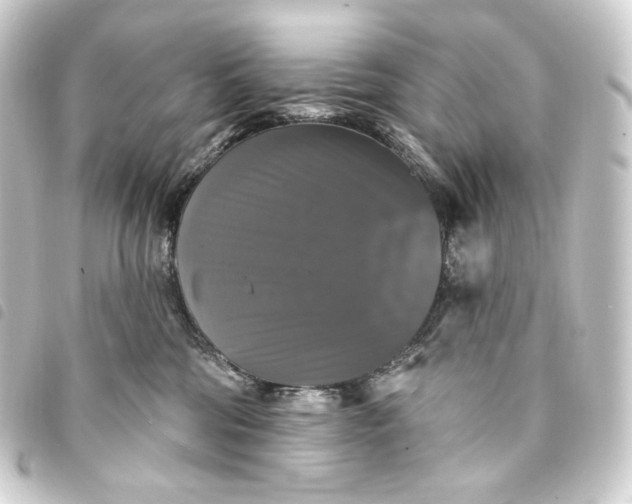 X0000093740330200710301110