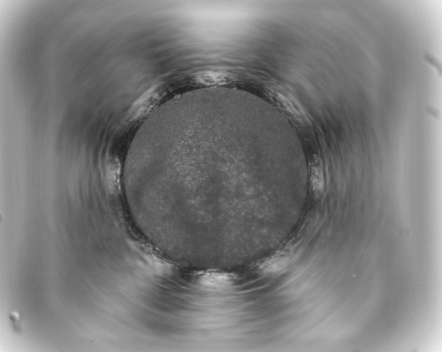 X0000093740332200710301110