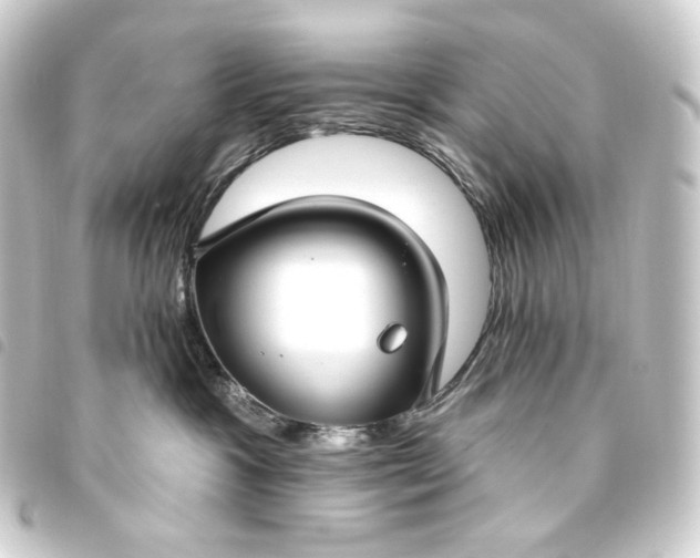 X0000093740333200710301110