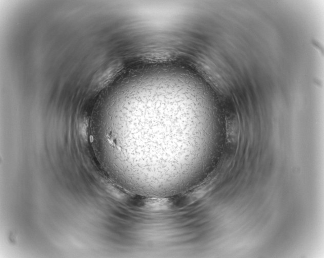 X0000093740334200710301110