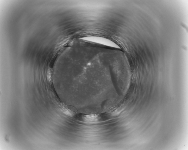 X0000093740335200710301110