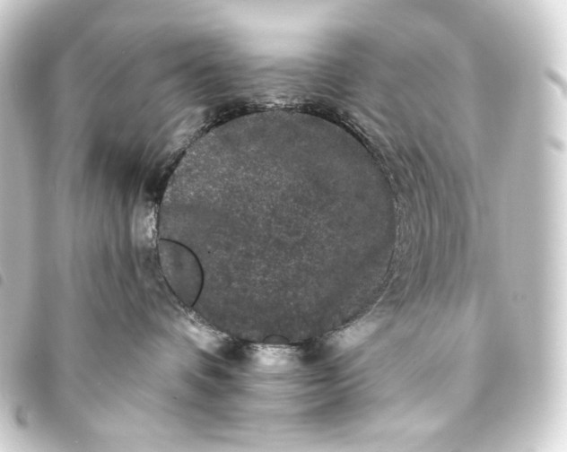 X0000093740336200710301110