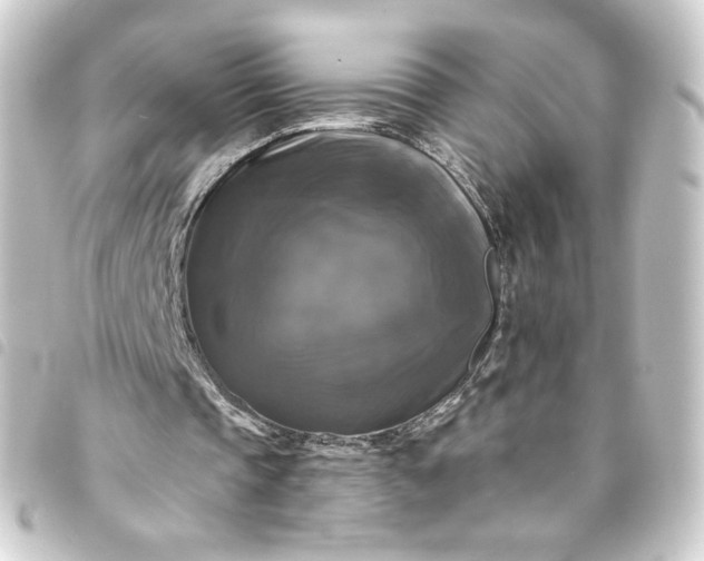 X0000093740337200710301109