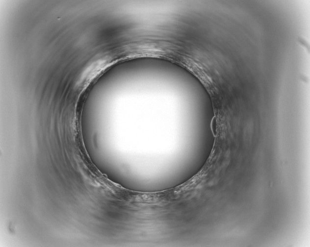 X0000093740338200710301109