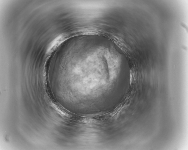 X0000093740339200710301109