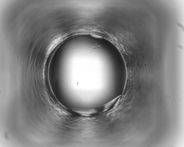 X0000093740340200710301109