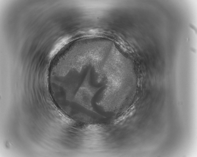 X0000093740341200710301109