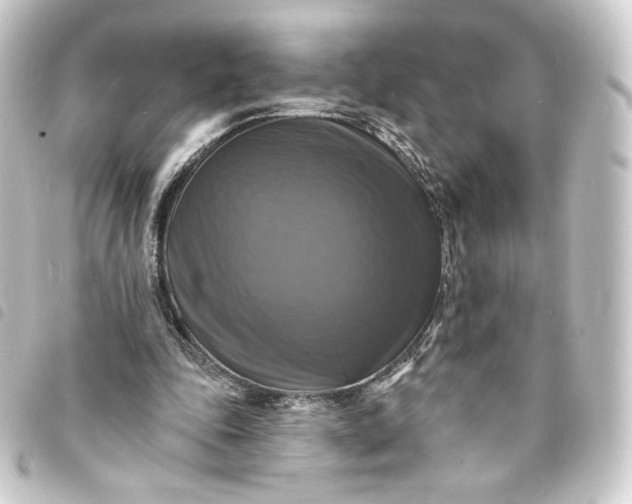 X0000093740343200710301109