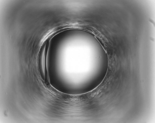 X0000093740344200710301109