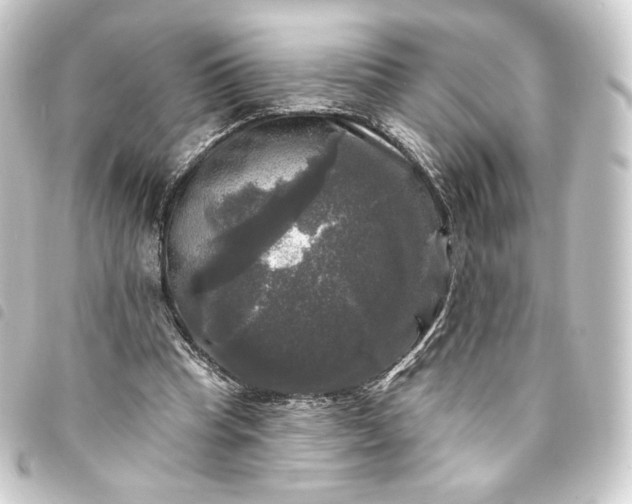 X0000093740345200710301109